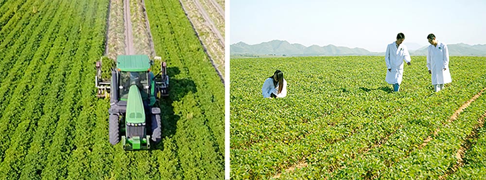 遼寧正業(yè)花生產(chǎn)業(yè)：共抗疫情，龍頭企業(yè)顯擔(dān)當(dāng)！(圖3)