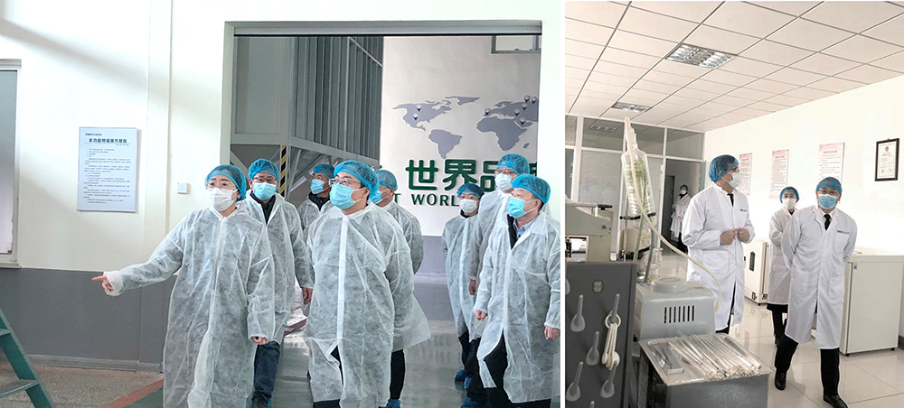 葫蘆島、興城兩市領導蒞臨正業(yè)花生產(chǎn)業(yè)調研指導(圖1)