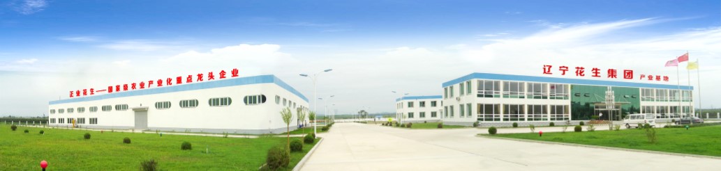 葫蘆島市委常委、副市長(zhǎng)張明謙蒞臨遼寧花生集團(tuán)考察指導(dǎo)(圖3)