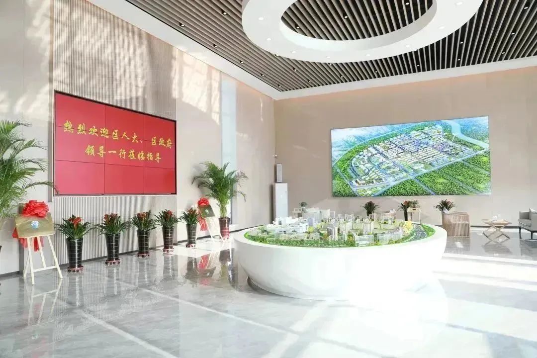 龍港區(qū)人大、區(qū)政府領導一行視察調研龍港國際醫(yī)療健康產業(yè)園(圖2)