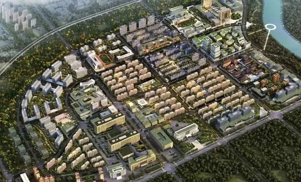 龍港區(qū)人大、區(qū)政府領導一行視察調研龍港國際醫(yī)療健康產業(yè)園(圖18)