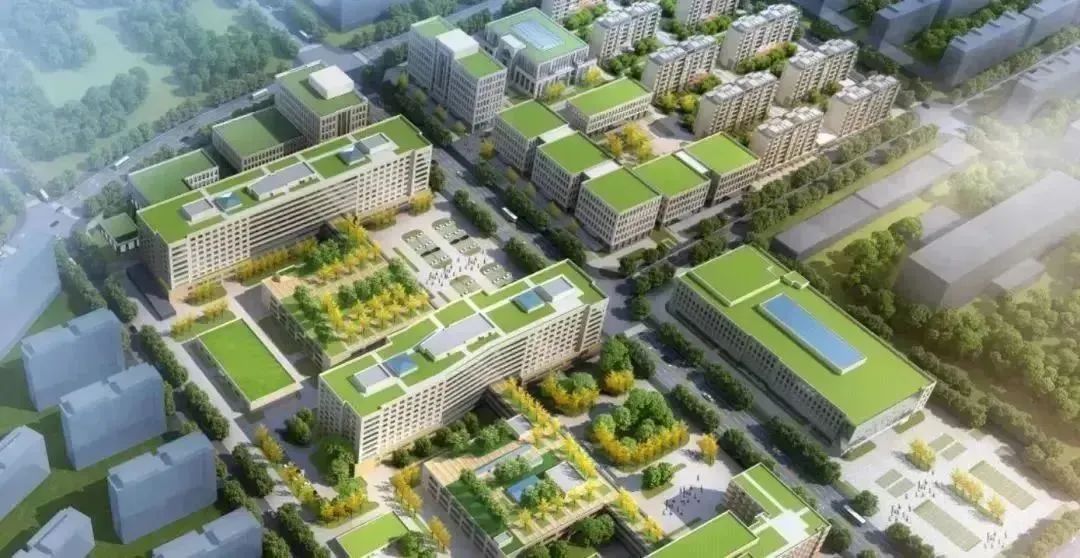龍港區(qū)人大、區(qū)政府領導一行視察調研龍港國際醫(yī)療健康產業(yè)園(圖23)